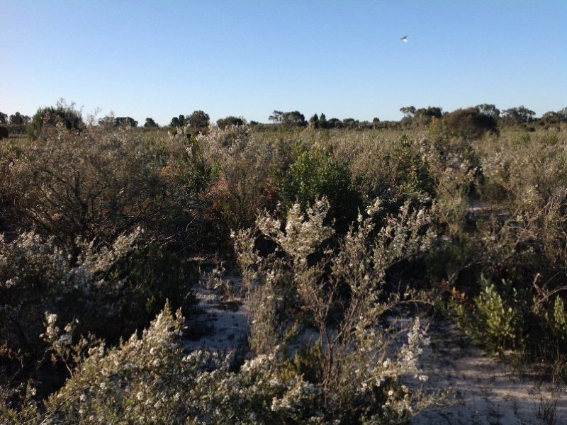 C/A 26 Stringbark Road, Dimboola VIC 3414