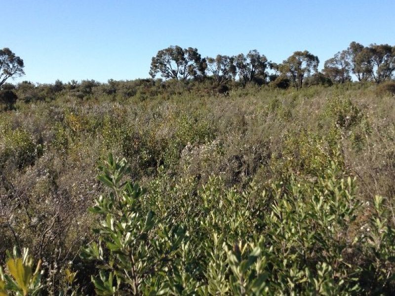 C/A 26 Stringbark Road, Dimboola VIC 3414