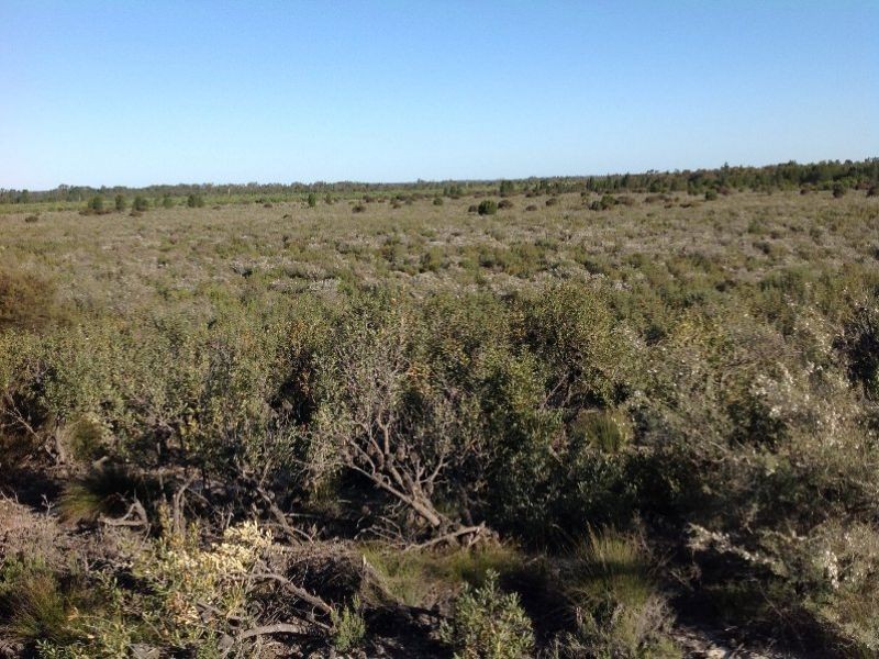 C/A 26 Stringbark Road, Dimboola VIC 3414