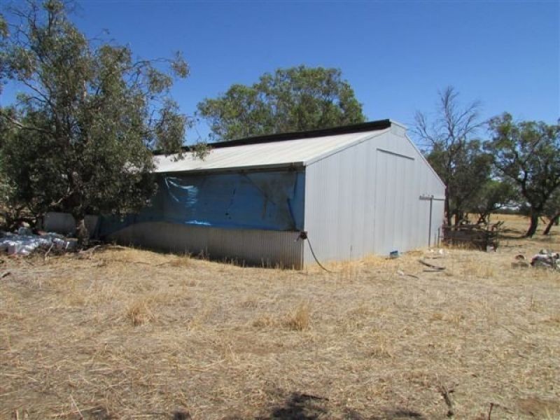 1451 Jeparit/Warracknabeal Road, Jeparit VIC 3423