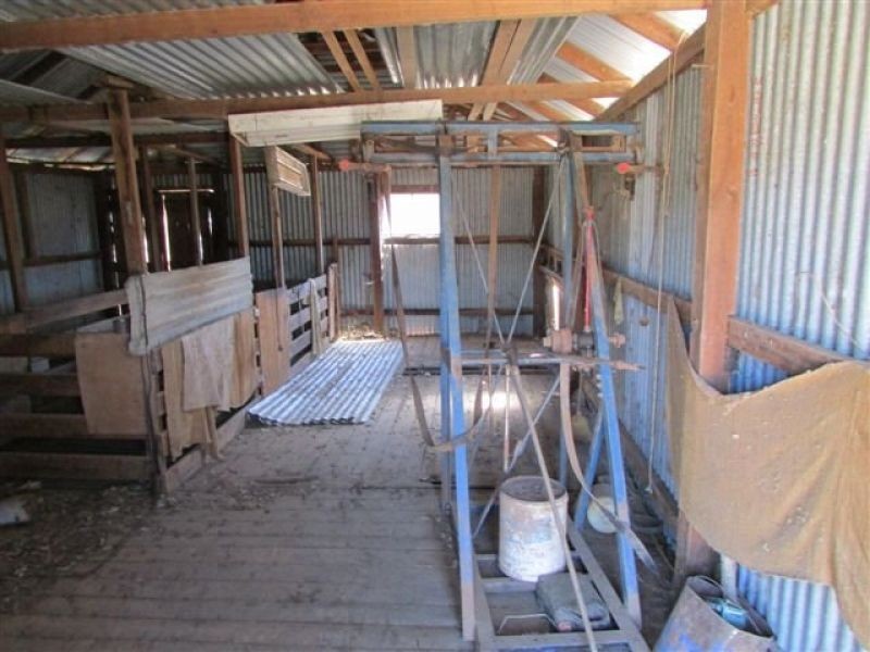 1451 Jeparit/Warracknabeal Road, Jeparit VIC 3423