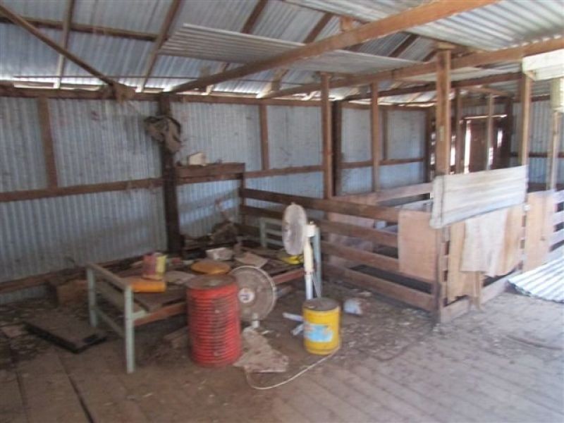 1451 Jeparit/Warracknabeal Road, Jeparit VIC 3423