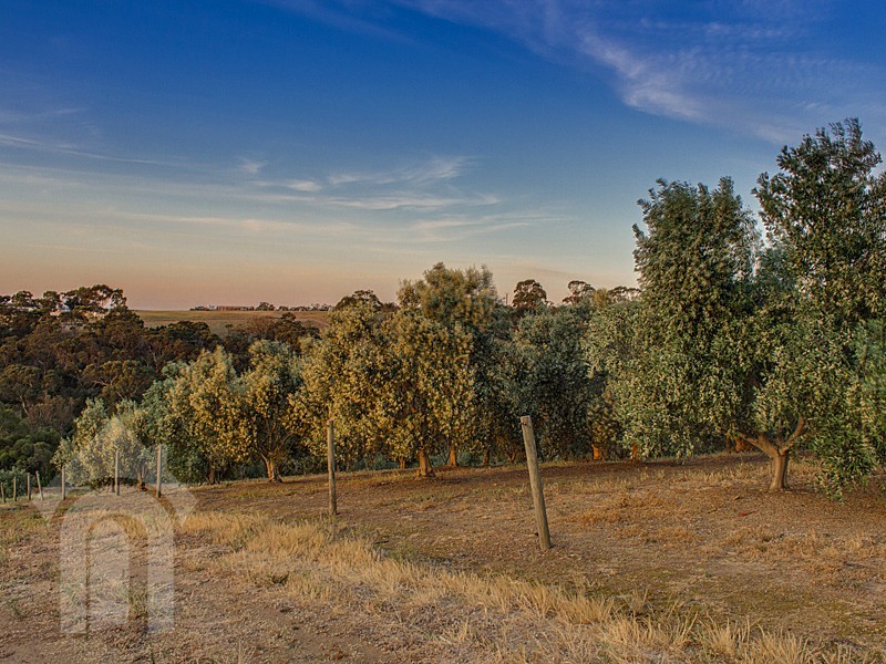 17 Coxs Hill Road, Onkaparinga Hills SA 5163