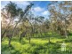 336 Piggott Range Road, Onkaparinga Hills SA 5163