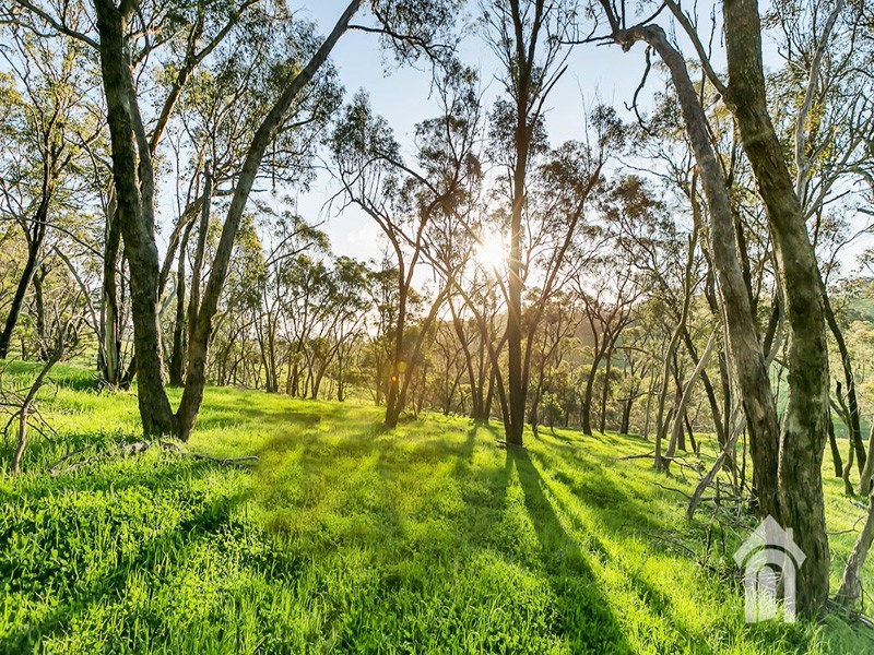 336 Piggott Range Road, Onkaparinga Hills SA 5163