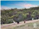 36 Gosse Road, Clarendon SA 5157