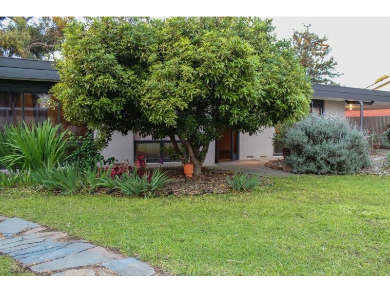 42 Powell Place, Morphett Vale SA 5162