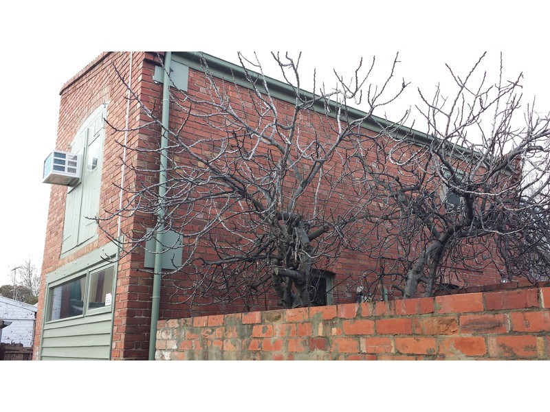 Rear 100 Station Street, Carlton VIC 3053