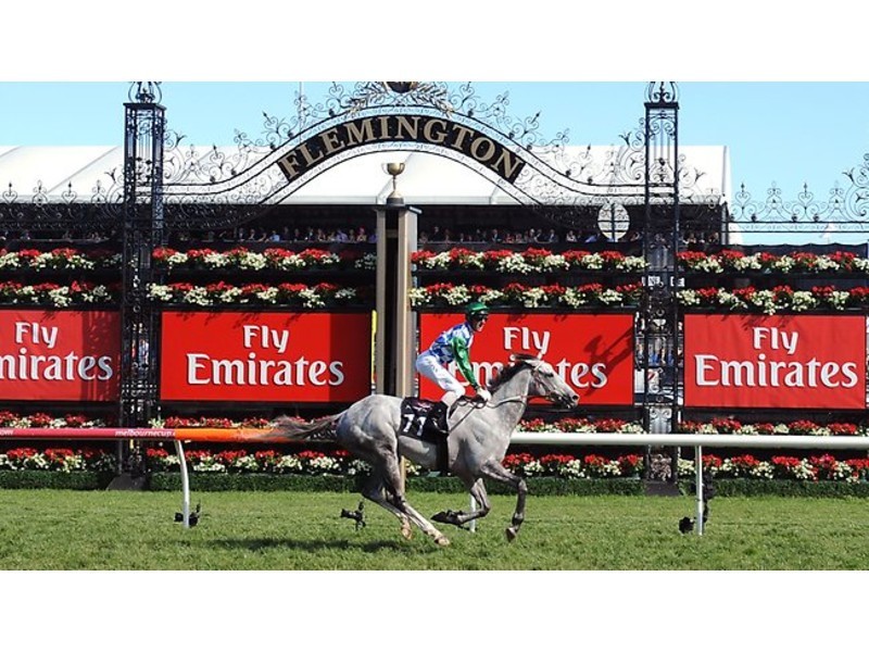 8/72 Princes Street, Flemington VIC 3031