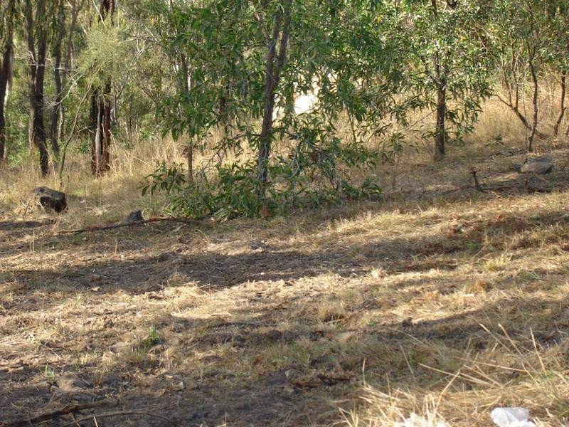 Kooralbyn QLD 4285