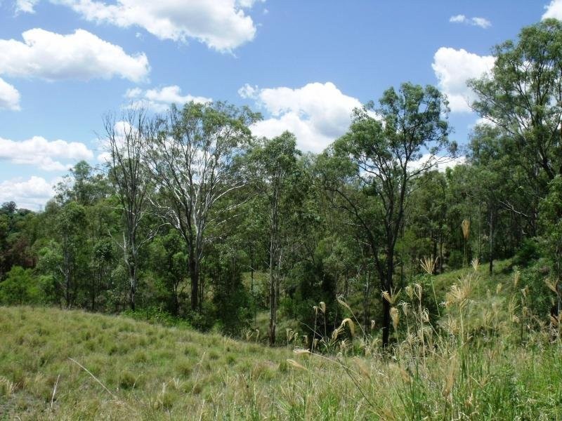 Veresdale Scrub QLD 4285