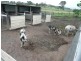 4523 Boonah Rathdowney Road, Rathdowney QLD 4287