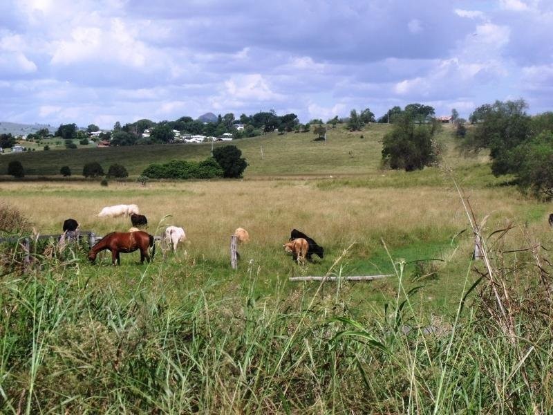 Boonah QLD 4310