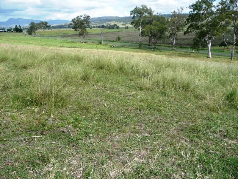 Christmas Creek QLD 4285