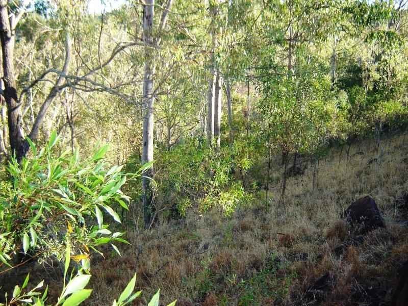 Kooralbyn QLD 4285