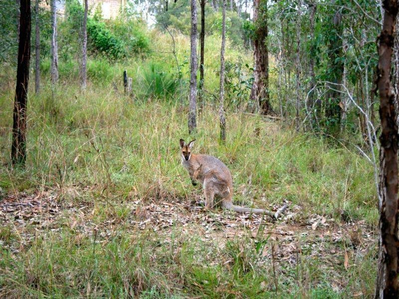 Kooralbyn QLD 4285