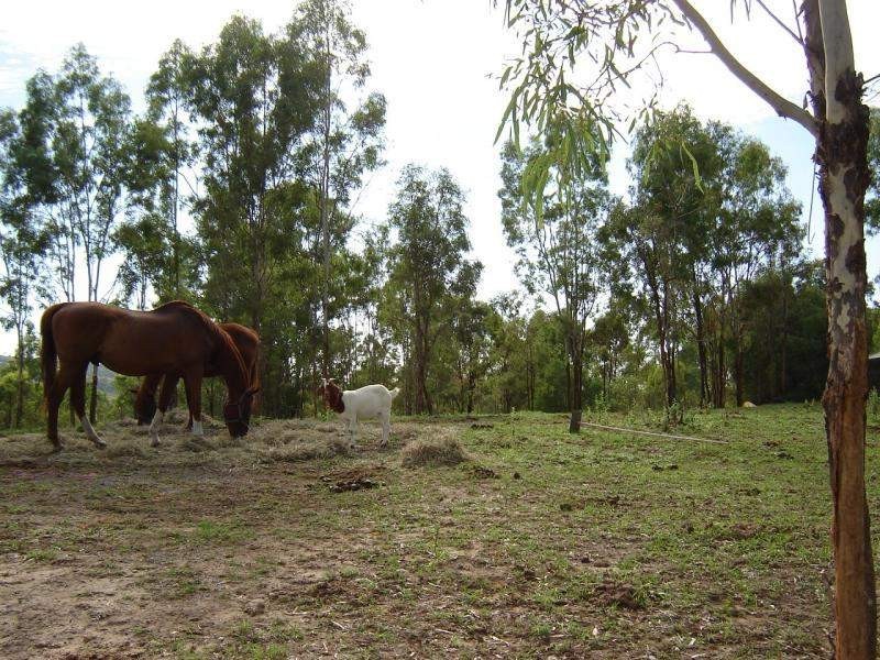 Kooralbyn QLD 4285