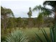 141 Walker Drive, Kooralbyn QLD 4285