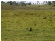 Lot 2 Oaky Scrub Road, Innisplain QLD 4285