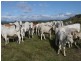 Lot 2 Oaky Scrub Road, Innisplain QLD 4285