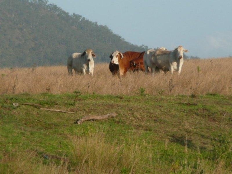 Laravale QLD 4285