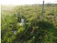 Laravale QLD 4285