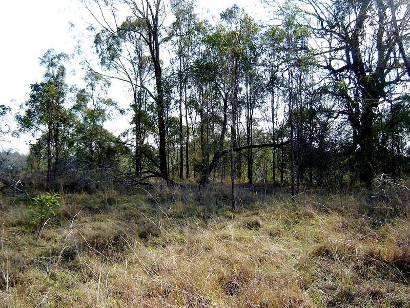 Kooralbyn QLD 4285