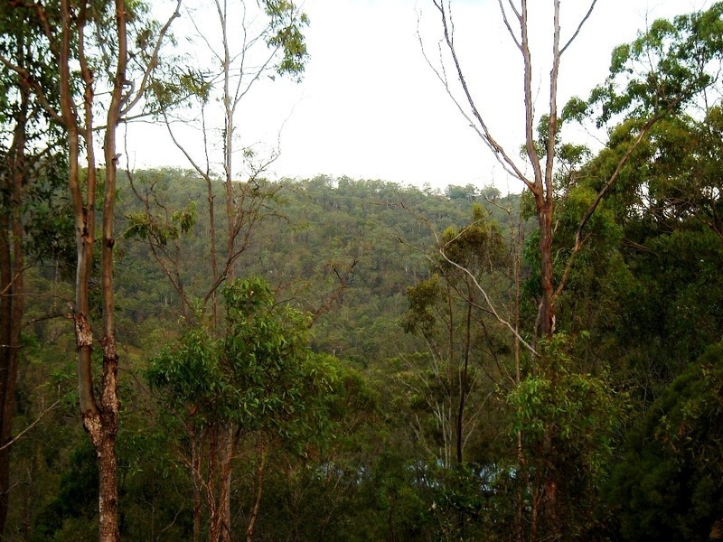 Kooralbyn QLD 4285