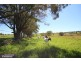 363 Veresdale Scrub School Road, Veresdale Scrub QLD 4285