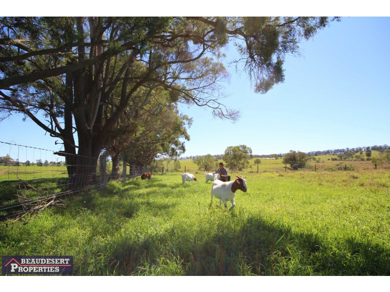 363 Veresdale Scrub School Road, Veresdale Scrub QLD 4285