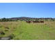 363 Veresdale Scrub School Road, Veresdale Scrub QLD 4285