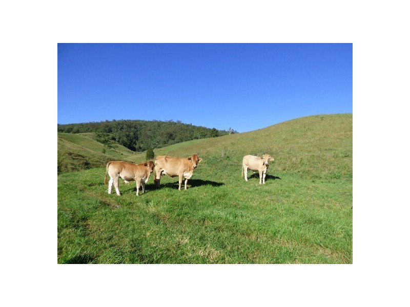 Palen Creek QLD 4287