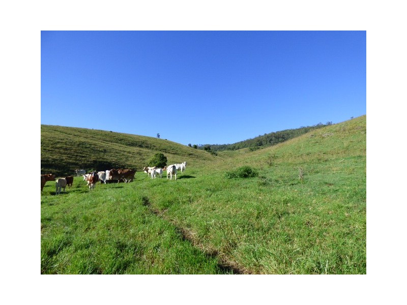 Palen Creek QLD 4287