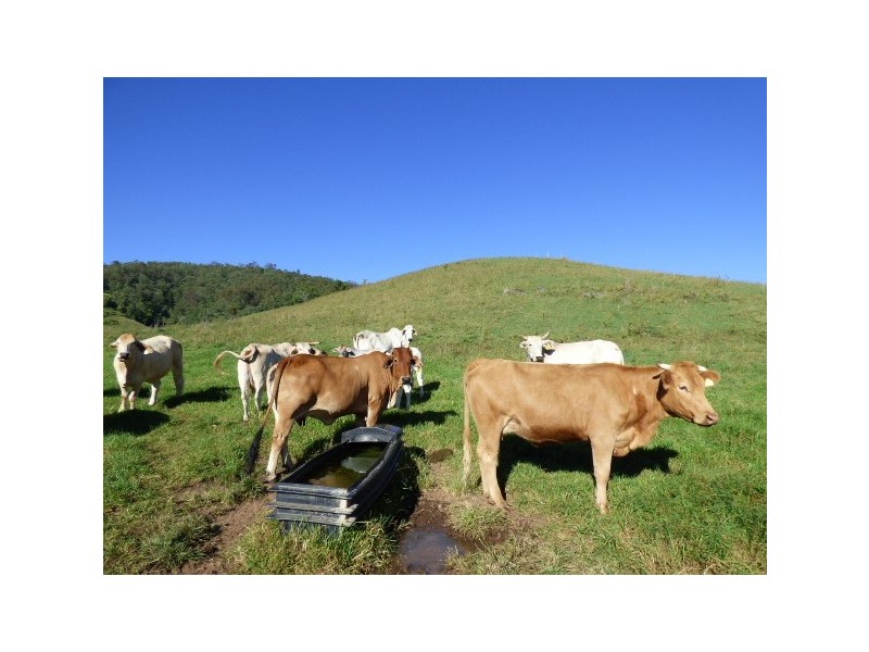 Palen Creek QLD 4287