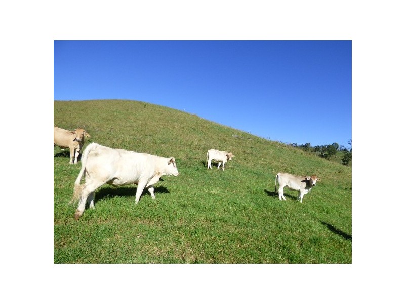 Palen Creek QLD 4287