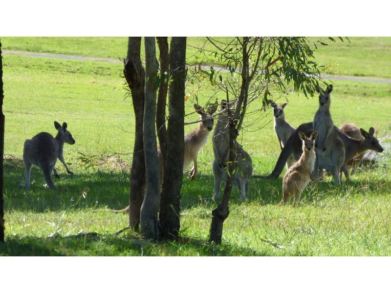 Lot L134, 196 – 198 Boomerang, Kooralbyn QLD 4285