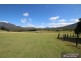 Mount Barney QLD 4287
