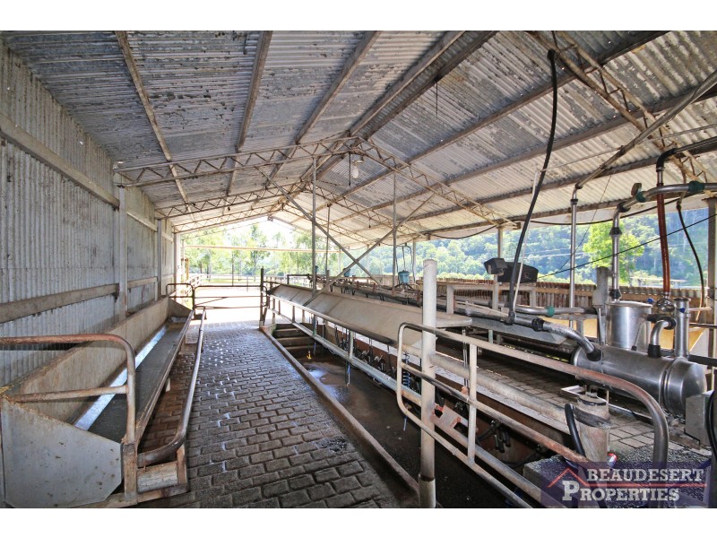 Mount Barney QLD 4287