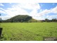 Mount Barney QLD 4287
