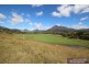 Mount Barney QLD 4287