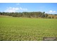 Mount Barney QLD 4287