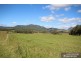 Mount Barney QLD 4287