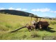 Mount Barney QLD 4287