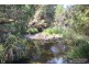 Mount Barney QLD 4287