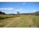 Mount Barney QLD 4287