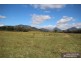 Mount Barney QLD 4287