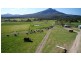 Mount Barney QLD 4287