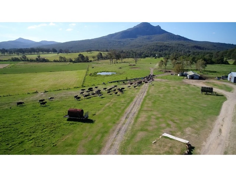Mount Barney QLD 4287