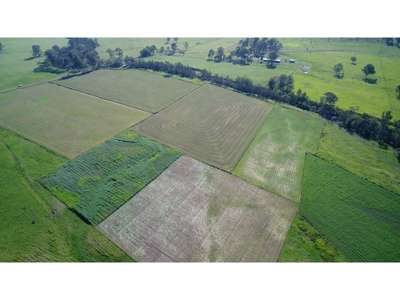 Mount Barney QLD 4287