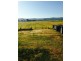 Tamrookum QLD 4285